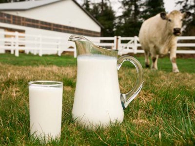 Российские антисанкции внесли вклад в рекордное падение цен на молоко