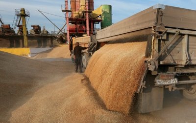 Экспорт зерна из России вырос на 34,5%