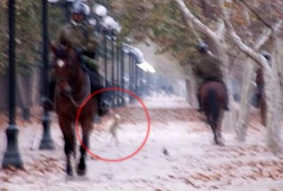 ВИДЕО YouTube: камера зафиксировала карликового гуманоида в Чили