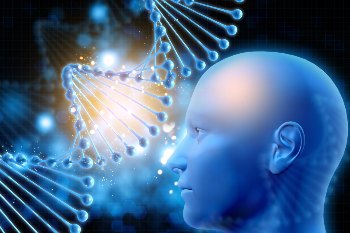 Science: выявлен ген, вызывающий наркозависимость в мозгу