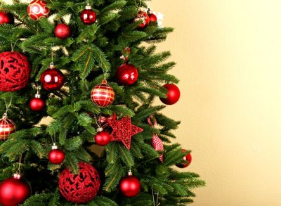 Когда убирать елку после Нового года 2018: приметы, советы, как правильно выбрасывать, по народным поверьям