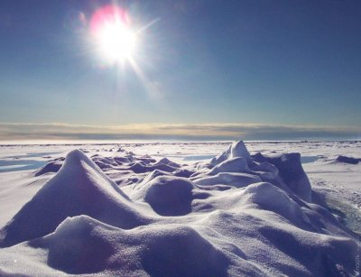 В Арктике обнаружили снег с пластиком