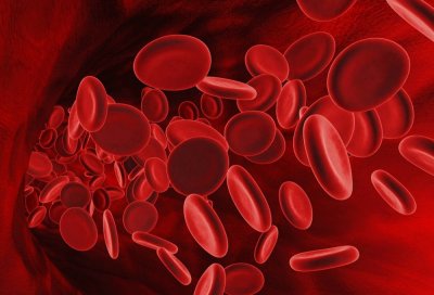 Медики назвали продукты, которые делают кровь менее густой