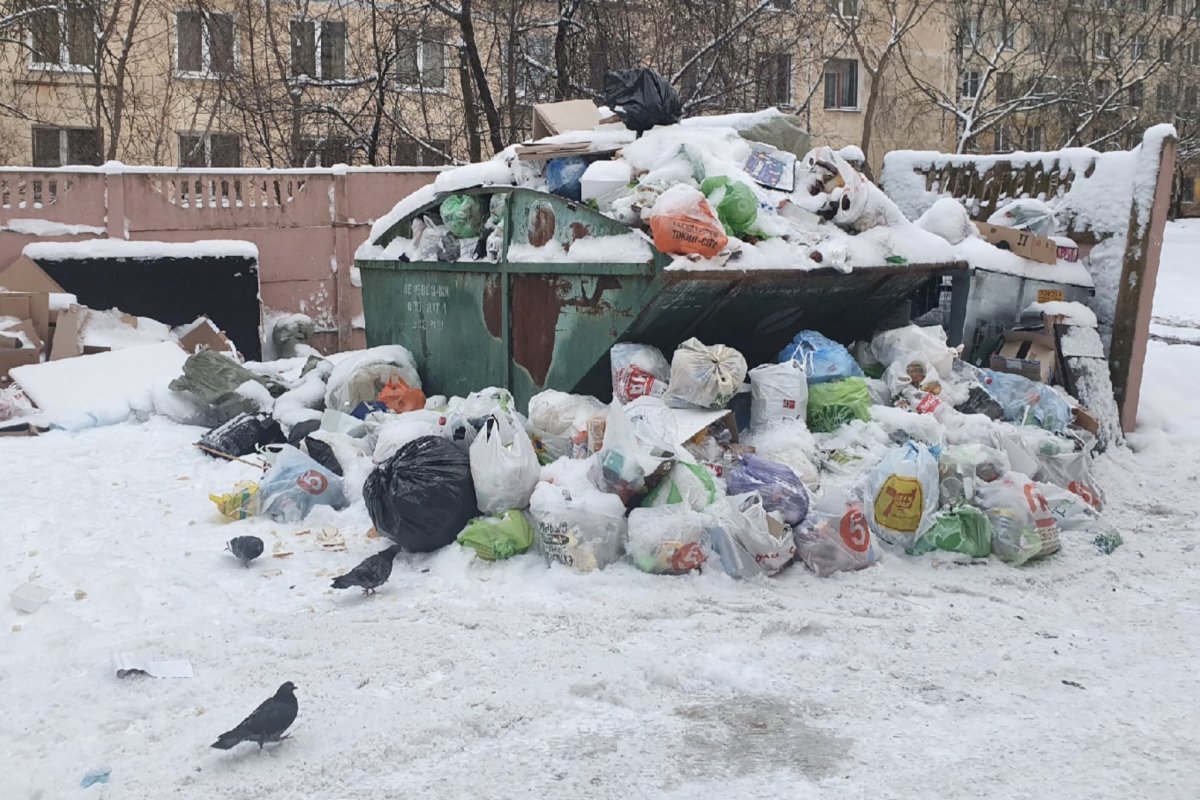 Мусорные кучи остались лежать во дворах Петербурга 1 января