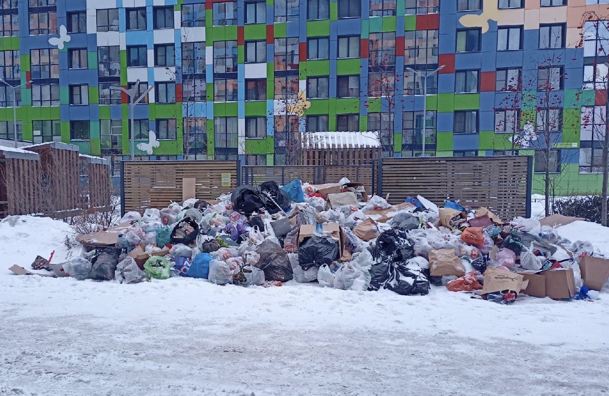В Петербурге проблема с вывозом мусора масштабируется