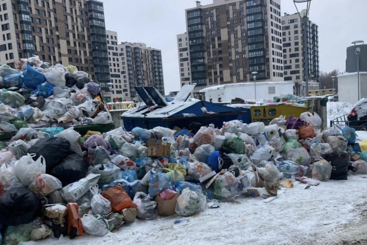 Центр Петербурга тонет в мусоре из-за бездействия администрации и Беглова