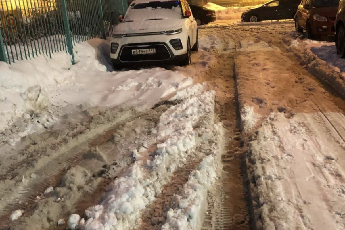 Мундеп Петербурга Гадзиковский обвинил Беглова в нехватке снегоуборочной техники