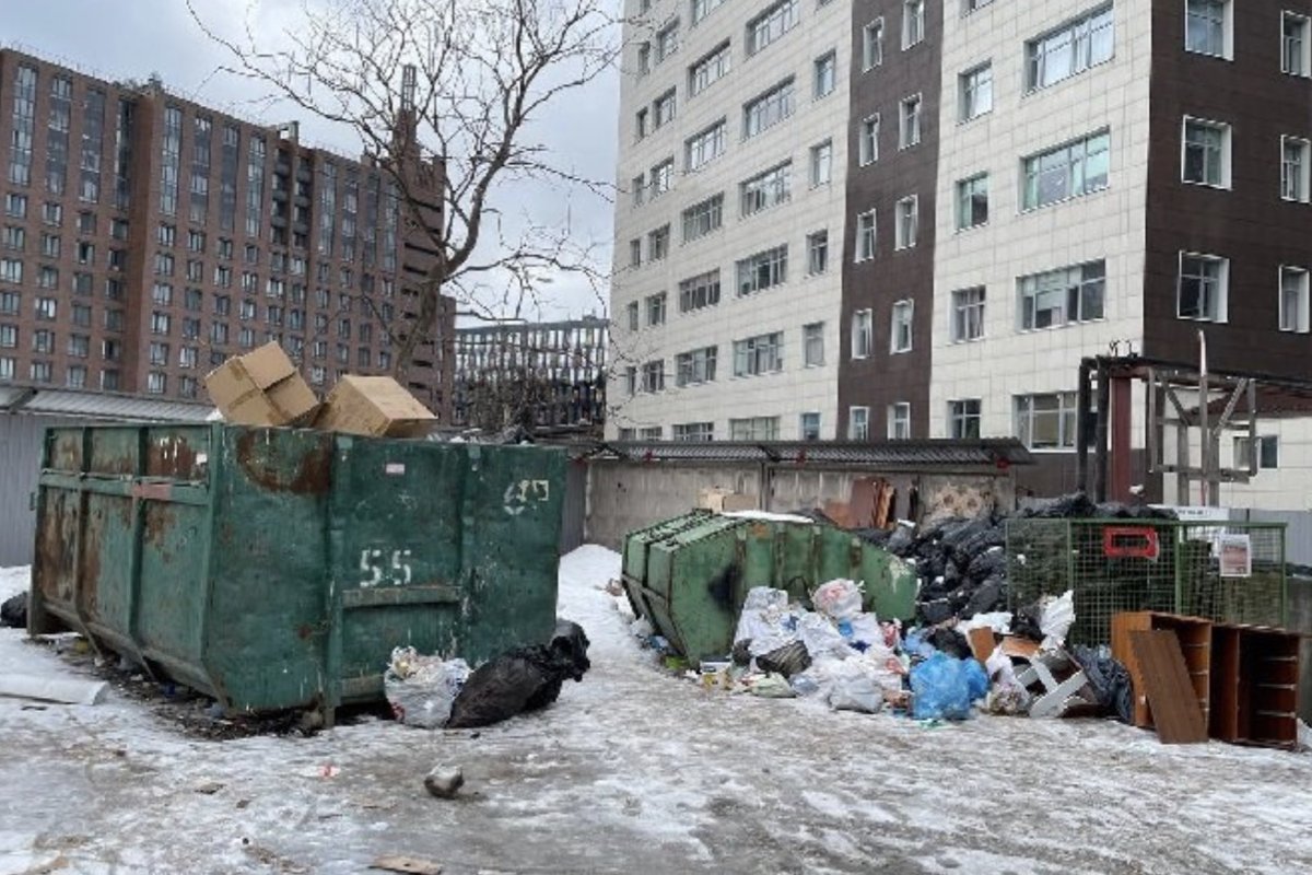 Петербуржцы жалуются на задержки с вывозом мусора