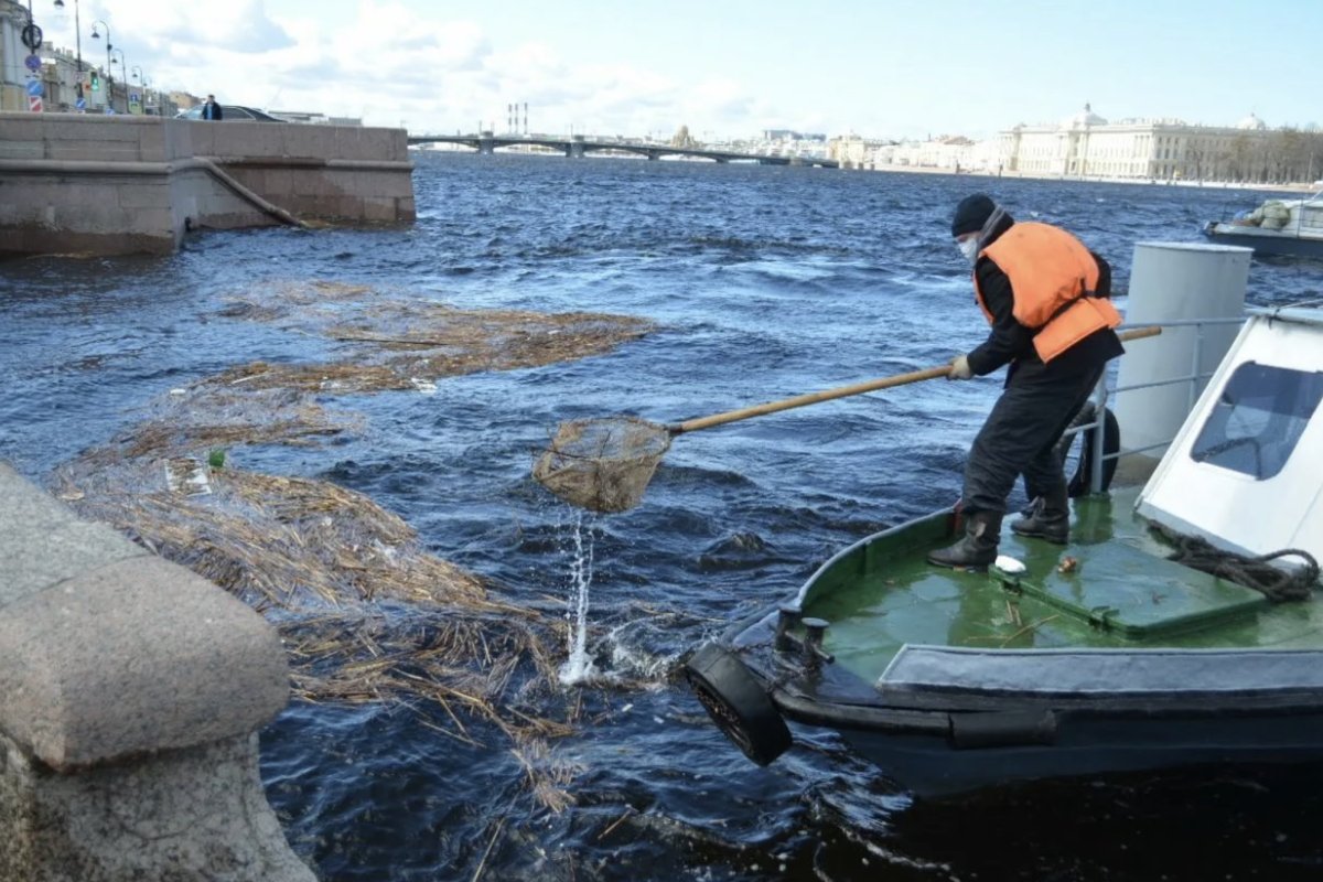 Плохое состояние водоемов Петербурга может привести к экологической катастрофе в городе
