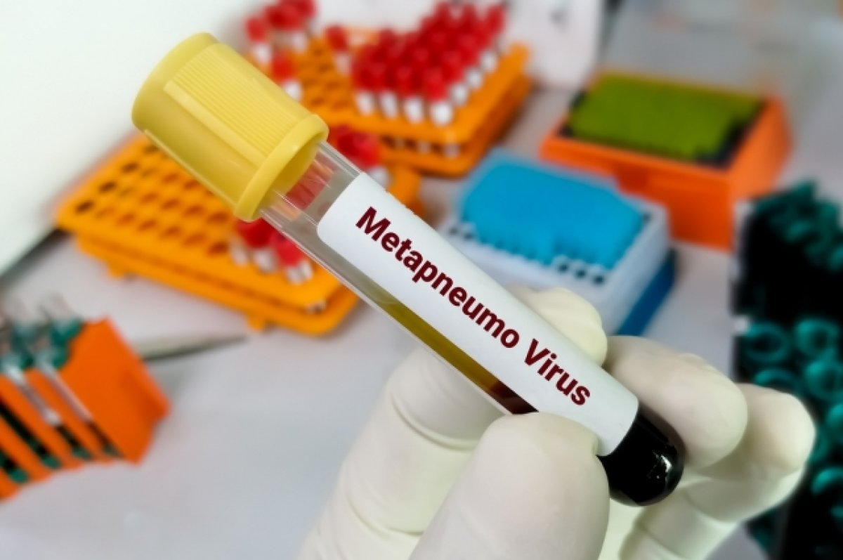 Иммунолог Болибок: Метапневмовирус вернулся в РФ из-за слабого иммунитета у населения