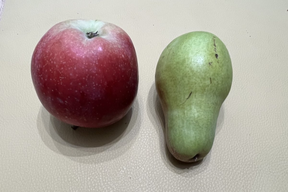 Как сушить яблоки и груши в домашних условиях: секреты и простые способы