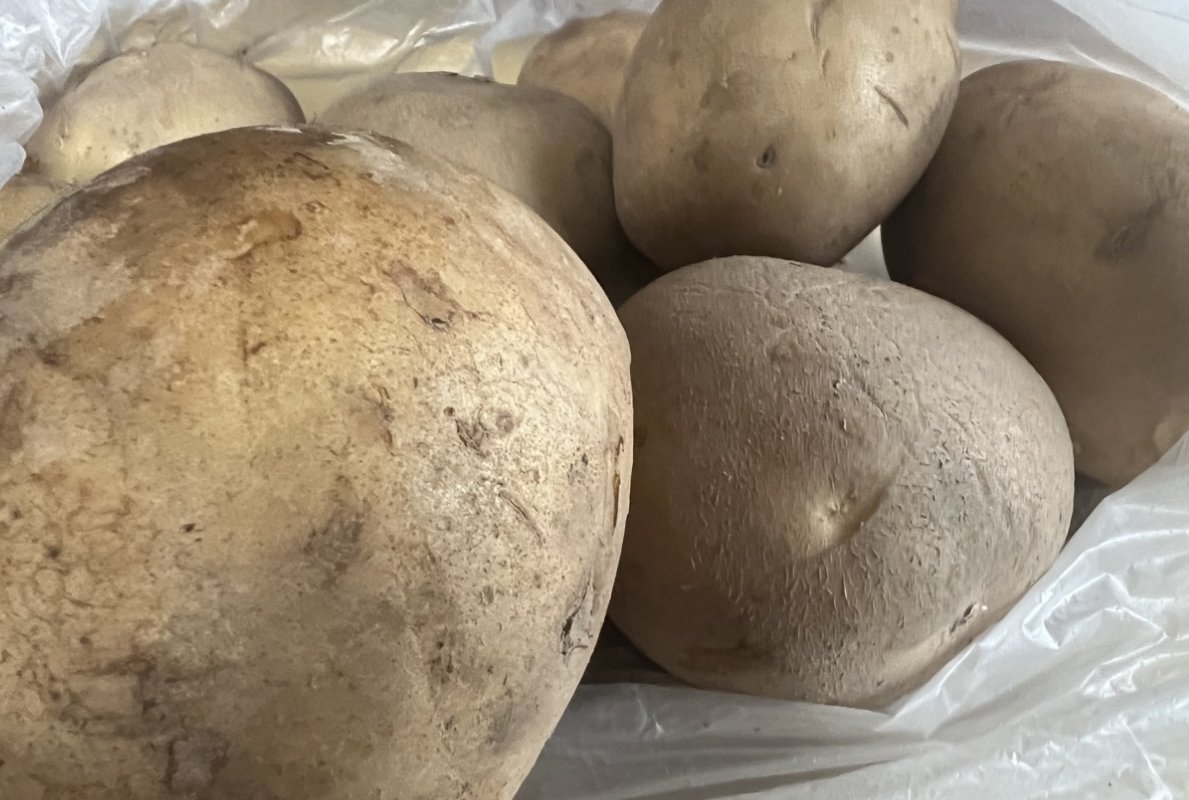 Не морщится и не покроется ростками: вот как правильно хранить семенной картофель