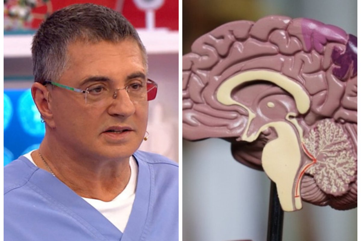 Доктор Мясников: Электромагнитное излучение смартфонов приводит к раку головного мозга