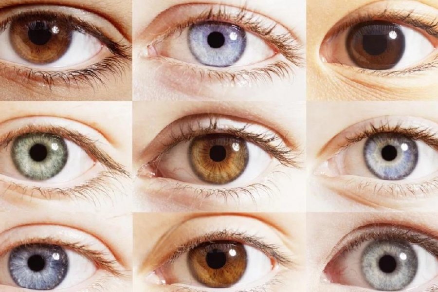 Медики рассказали, какие риски для здоровья таит в себе цвет глаз человека