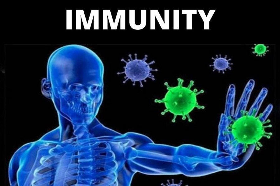 Американские инфекционисты сомневаются в достижении коллективного иммунитета от COVID-19