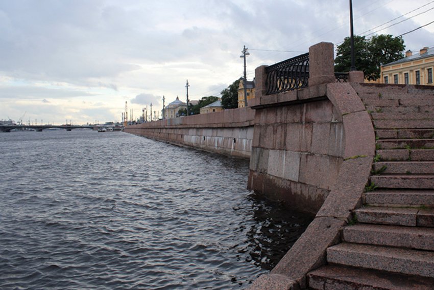 Представители Росприроднадзора прокомментировали массовую гибель рыбы в петербургских реках и каналах