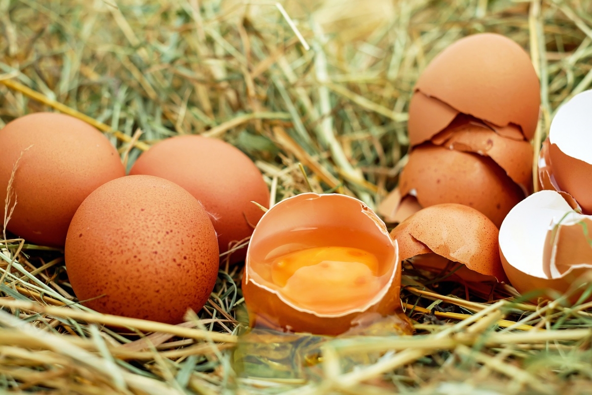 «Немедленно откажитесь»: Диетолог Бородина рассказала, кому лучше не есть куриные яйца