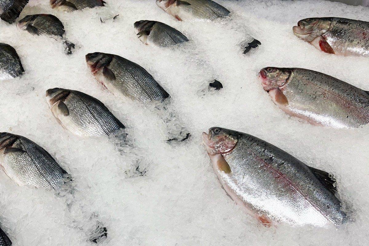 Правда о замороженной рыбе: что обязательно надо знать перед покупкой