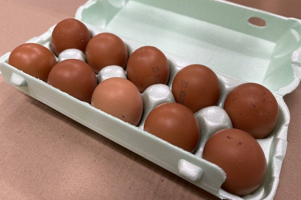 Свердловский министр Кузнецова рассказала, упадет ли стоимость яиц в регионе летом