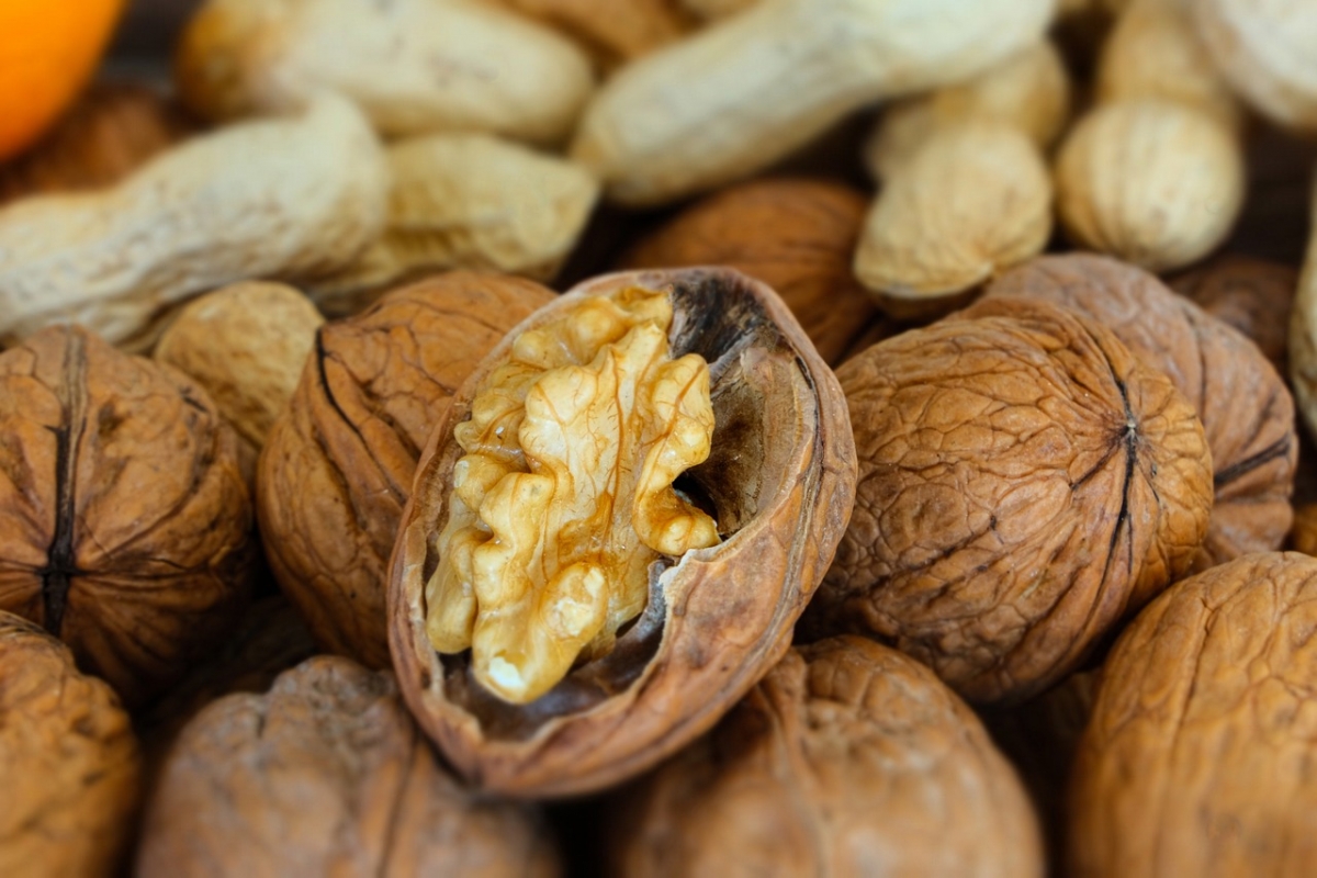 Фасоль и грецкие орехи — основа рациона долгожителей в США
